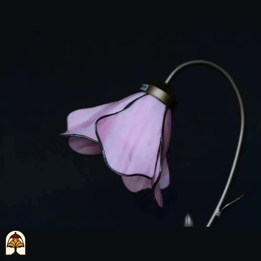 Close-up onverlichte roze lotusbloem kap — opwaaierende roze glazen bloemblaadjes, donkere achtergrond