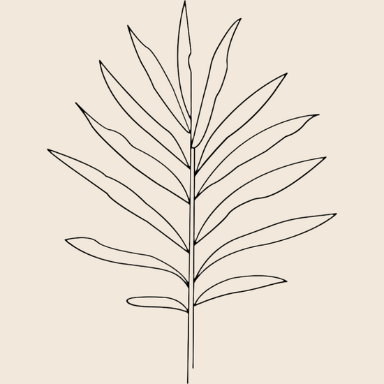 Betaalbaar en duurzaam